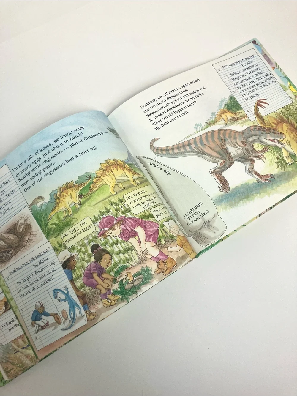 Vintage Magic School Bus Book 1st Edition 1st Printing 1994 Time Dinosaurs - Picture 10 of 13